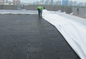 Green roof geotextile to the drain cell