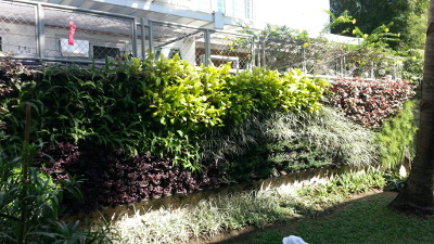 Quezon City Location Vertical Garden / Greenwall