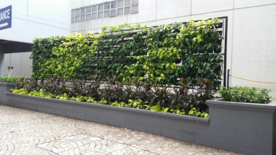 Majalco Building Vertical Garden / Greenwall using VF-2