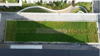 Wilcon greenroof / Green roof using vg30