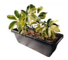 Urban Vertical Pot Project view